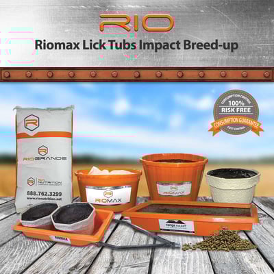 Riomax Lick Tubs Impact Breed-Up